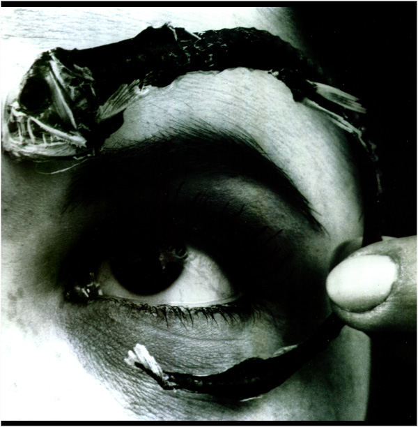mr bungle disco volante mr bungle disco volante